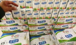 伊利最新爆料,揭秘乳业巨头背后的秘密与挑战