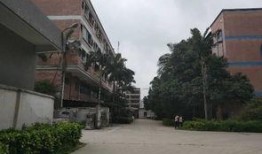 广州狮岭镇最新爆料,揭秘神秘事件背后的真相