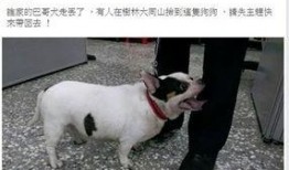 巴哥最新爆料微博号,揭秘娱乐圈最新动态！”