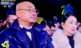 娱乐事件最新爆料直播回放,直播回放揭秘幕后真相