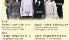 奥地利最新爆料新闻事件,神秘新闻事件震惊全国