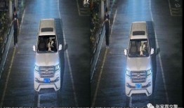 张家界司机爆料视频最新,揭秘景区交通乱象背后的真相