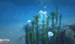 海岛剧情爆料大全最新,揭秘神秘海岛背后的惊天秘密与爱恨情仇